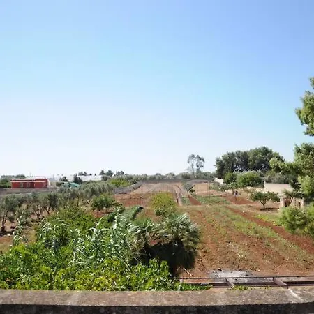 A 6 Km Da Porto Cesareo, La Casa Del Carrubo