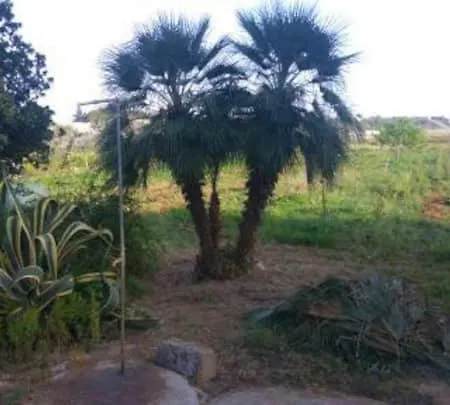 A 6 Km Da Porto Cesareo, La Casa Del Carrubo Casa vacanze