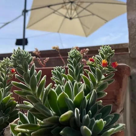 Casa vacanze A 6 Km Da Porto Cesareo, La Casa Del Carrubo *