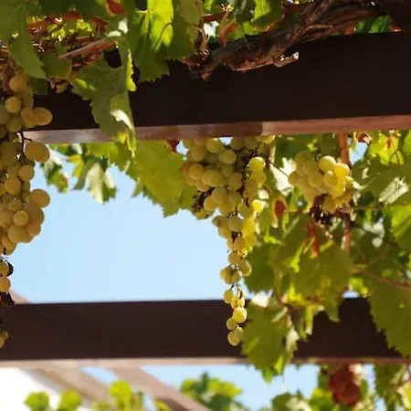 A 6 Km Da Porto Cesareo, La Casa Del Carrubo Casa vacanze *